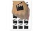 Clapperboard Movie Film Director Action Temporary Tattoo Water Resistant Fake Body Art Set Collection (1 Sheet)